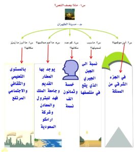 ماذا يصف النص؟